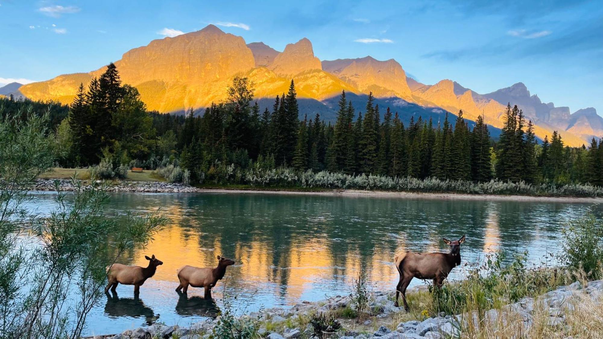 Unit #302 Mountain View 2 Beds In Dt Apartment Canmore Exterior photo